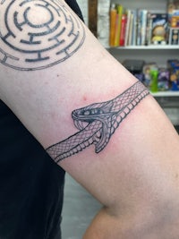 a tattoo of a snake with a maze on it